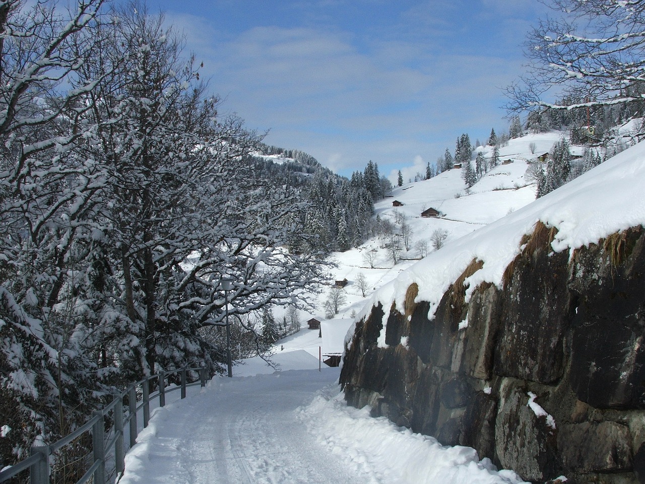 Wengen, Kelias, Alpės, Šveicarija, Žiema, Nemokamos Nuotraukos,  Nemokama Licenzija