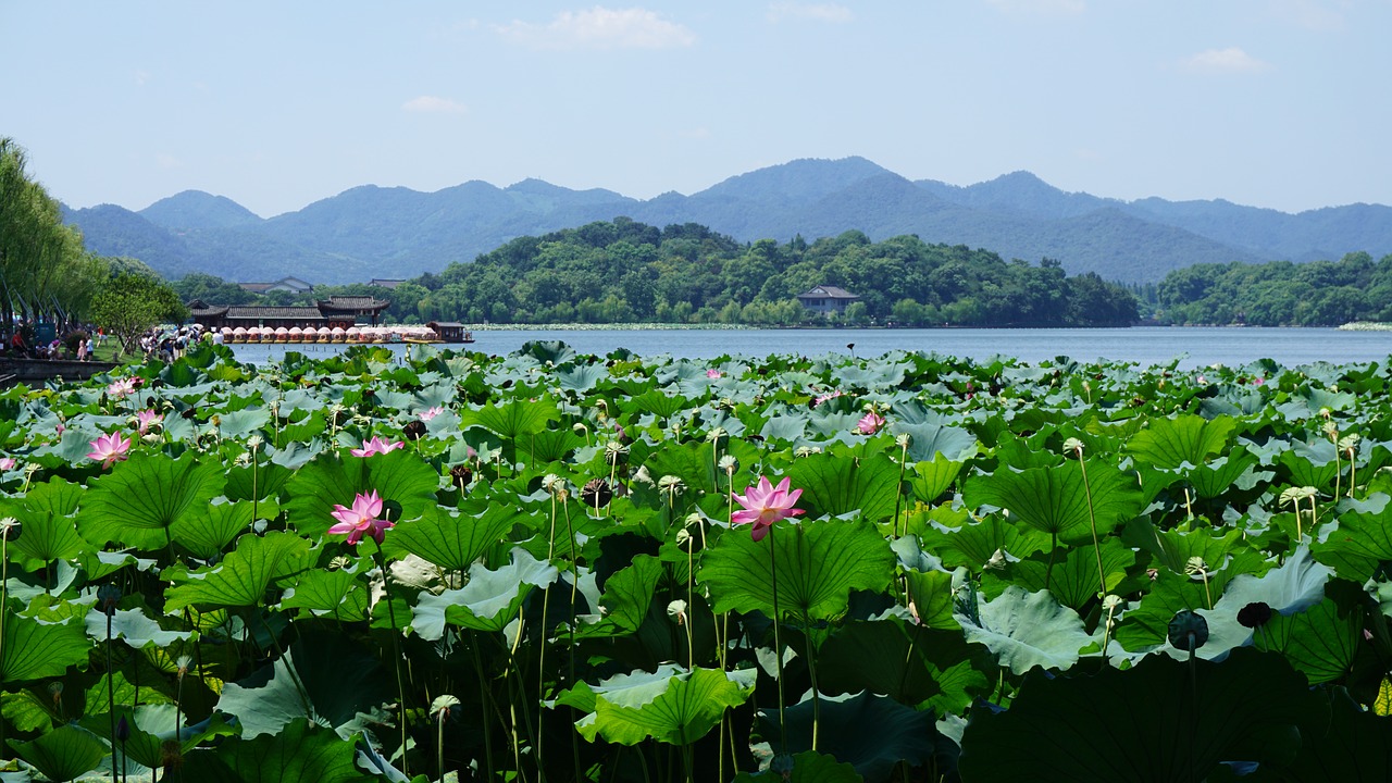 Vakarinis Ežeras, Hangzhou, Kinija, Nemokamos Nuotraukos,  Nemokama Licenzija