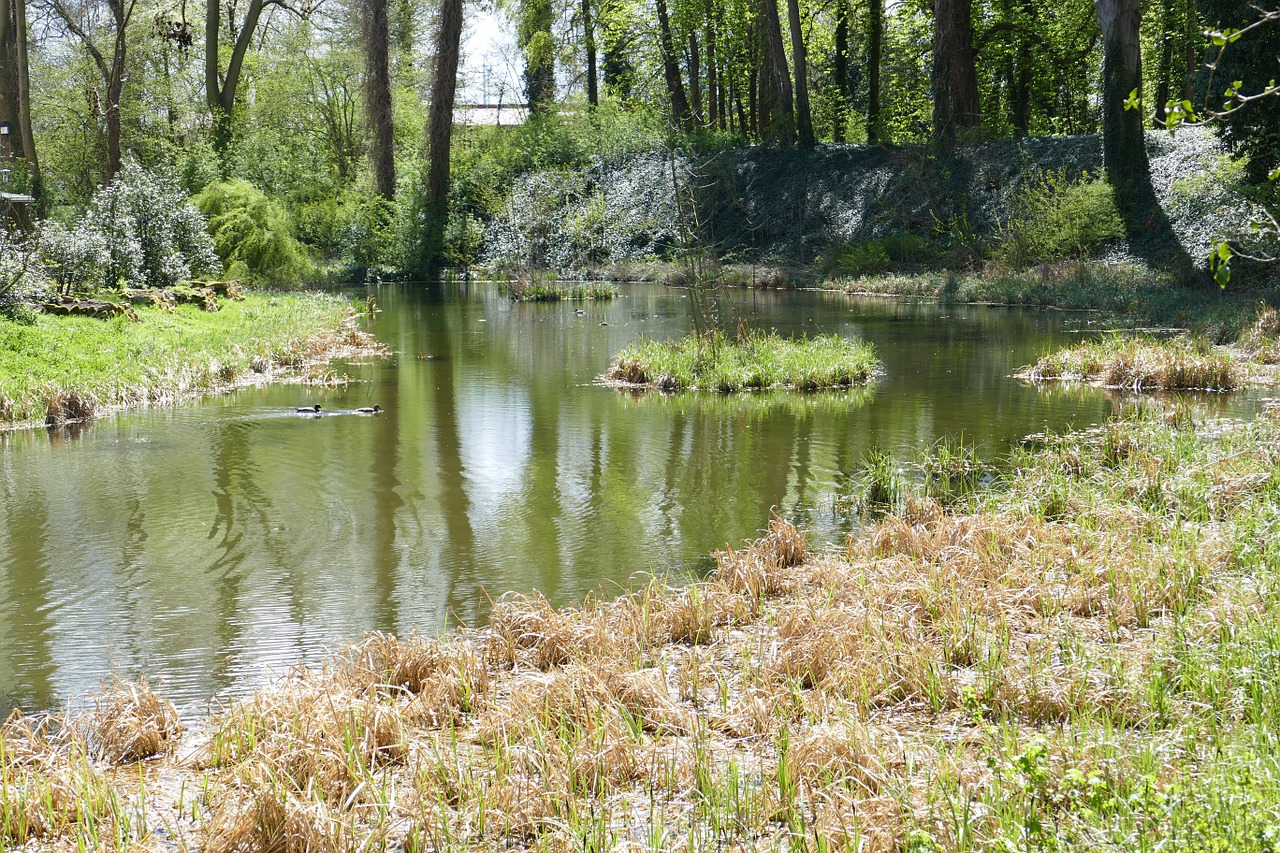 Westerburg, Huy, Moat, Moatiška Pilis, Istoriškai, Senovės, Gražus, Pasaka, Nemokamos Nuotraukos,  Nemokama Licenzija