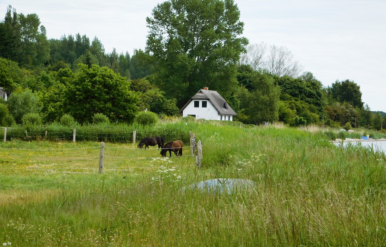 Vakarų Pomeranija, Rügen, Baltijos Jūra, Putbus, Bodden, Freetz, Šventė, Atostogos, Nemokamos Nuotraukos,  Nemokama Licenzija