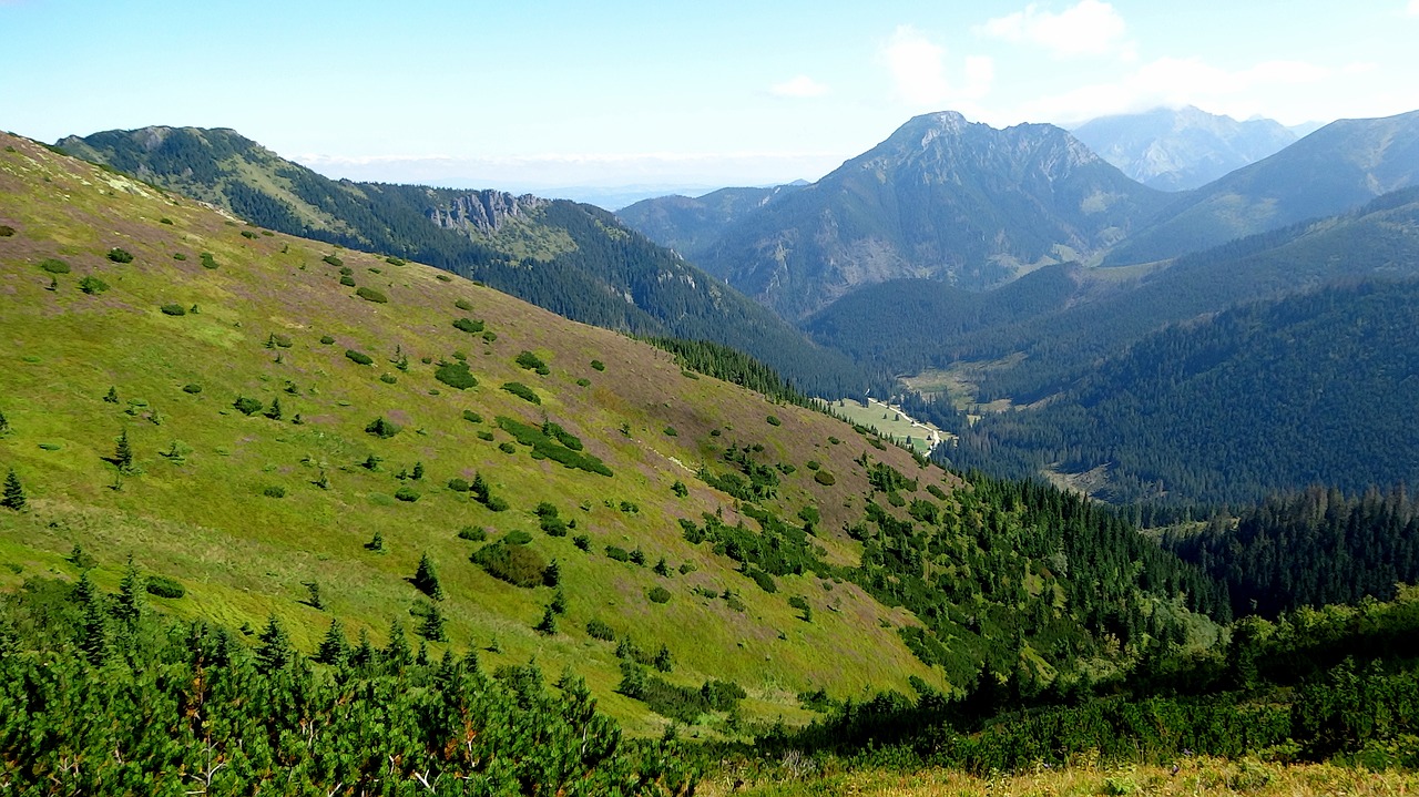 Vakarų Tatras, Kalnai, Kraštovaizdis, Chochołowska Slėnis, Gamta, Nemokamos Nuotraukos,  Nemokama Licenzija