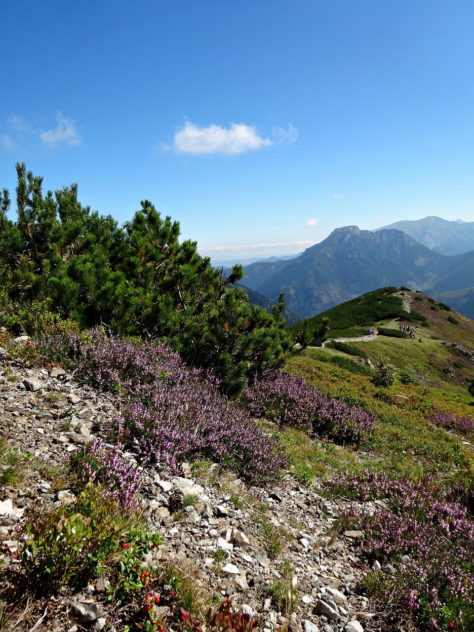 Vakarų Tatras, Kalnai, Kraštovaizdis, Gamta, Augmenijos Kalnas, Nemokamos Nuotraukos,  Nemokama Licenzija