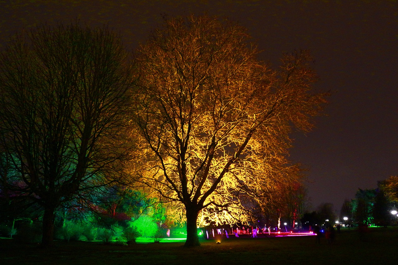 Westphalia Parkas, Žiemos Žiburiai, 2013 M. Naktis, Nemokamos Nuotraukos,  Nemokama Licenzija