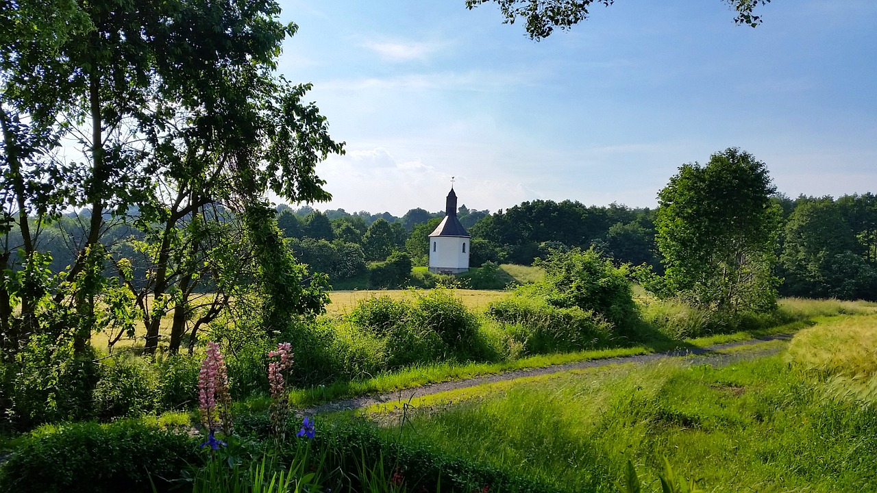 Kvieciai, Laukas, Vasara, Saulė, Saulėta Diena, Gražus, Gamta, Vaizdas, Bauer, Rugių Laukas