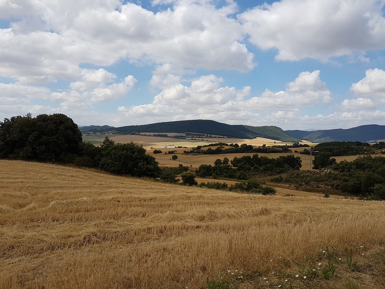 Kviečių Laukai, France, Kraštovaizdis, Nemokamos Nuotraukos,  Nemokama Licenzija