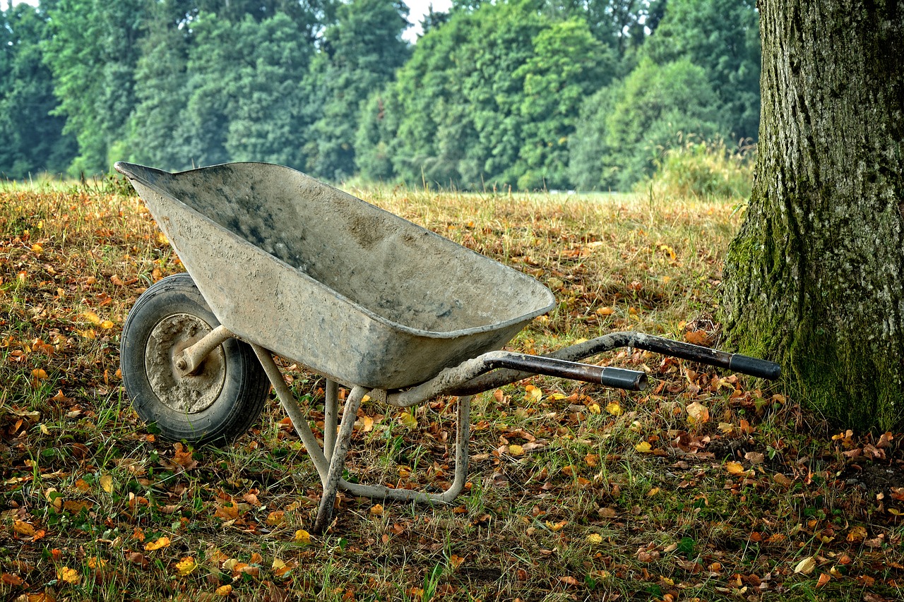 Vežimėlis, Slydimo Barrow, Darbas, Amatų, Krepšelis, Transportas, Judėti, Karetė, Gareta, Įrankis