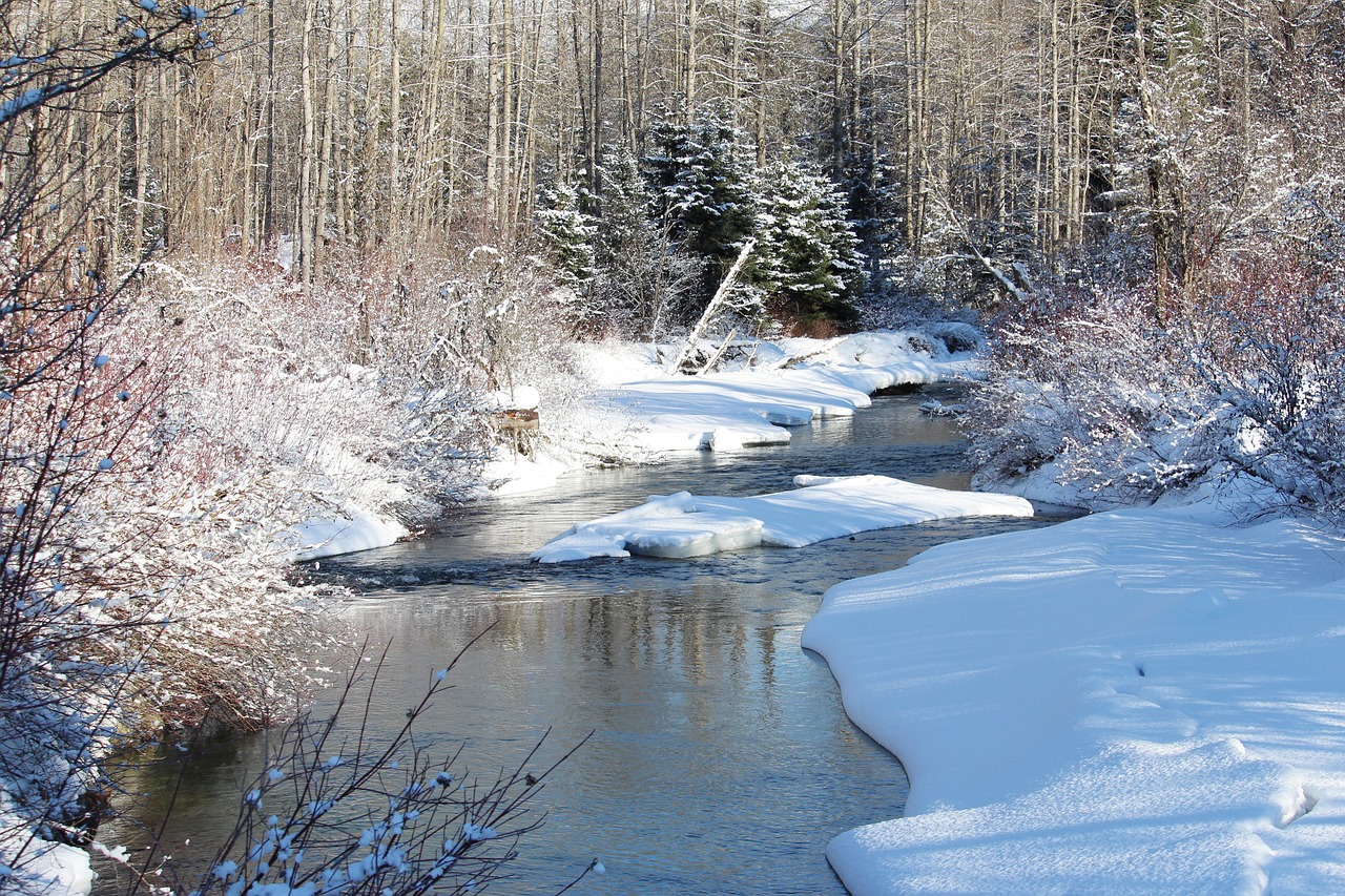 Whistler, Upelis, Upė, Snowbank, Žiema, Šaltas, Peizažas, Medžiai, Miškas, Sniego Dreifas