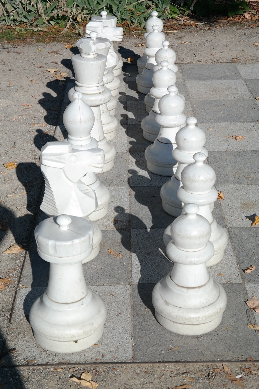 Balta, Baltos Spalvos, Skaičiai, Šachmatų Figūros, Šachmatai, Šachmatų Lenta, Šachmatų Žaidimas, Žaisti, Lady, Karalius