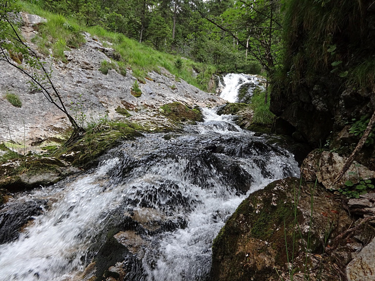 Baltas Bachas, Baltas Sūris Klampus, Bachas, Kalnų Upelis, Torrent, Viršutinė Bavarija, Gamta, Nemokamos Nuotraukos,  Nemokama Licenzija