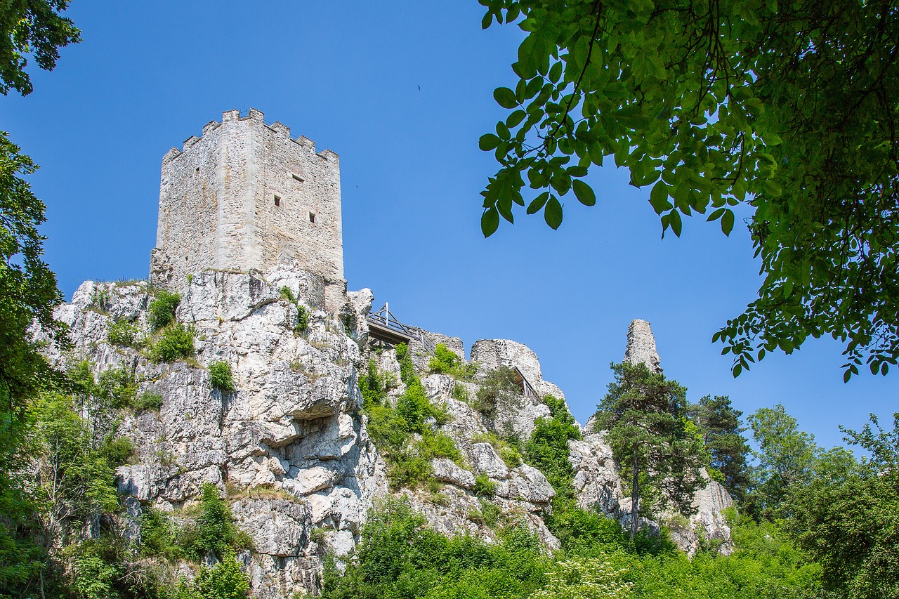 Baltas Akmuo, Pilis, Sugadinti, Bavarija, Bavarijos Miškas, Pilies Bokštas, Nemokamos Nuotraukos,  Nemokama Licenzija