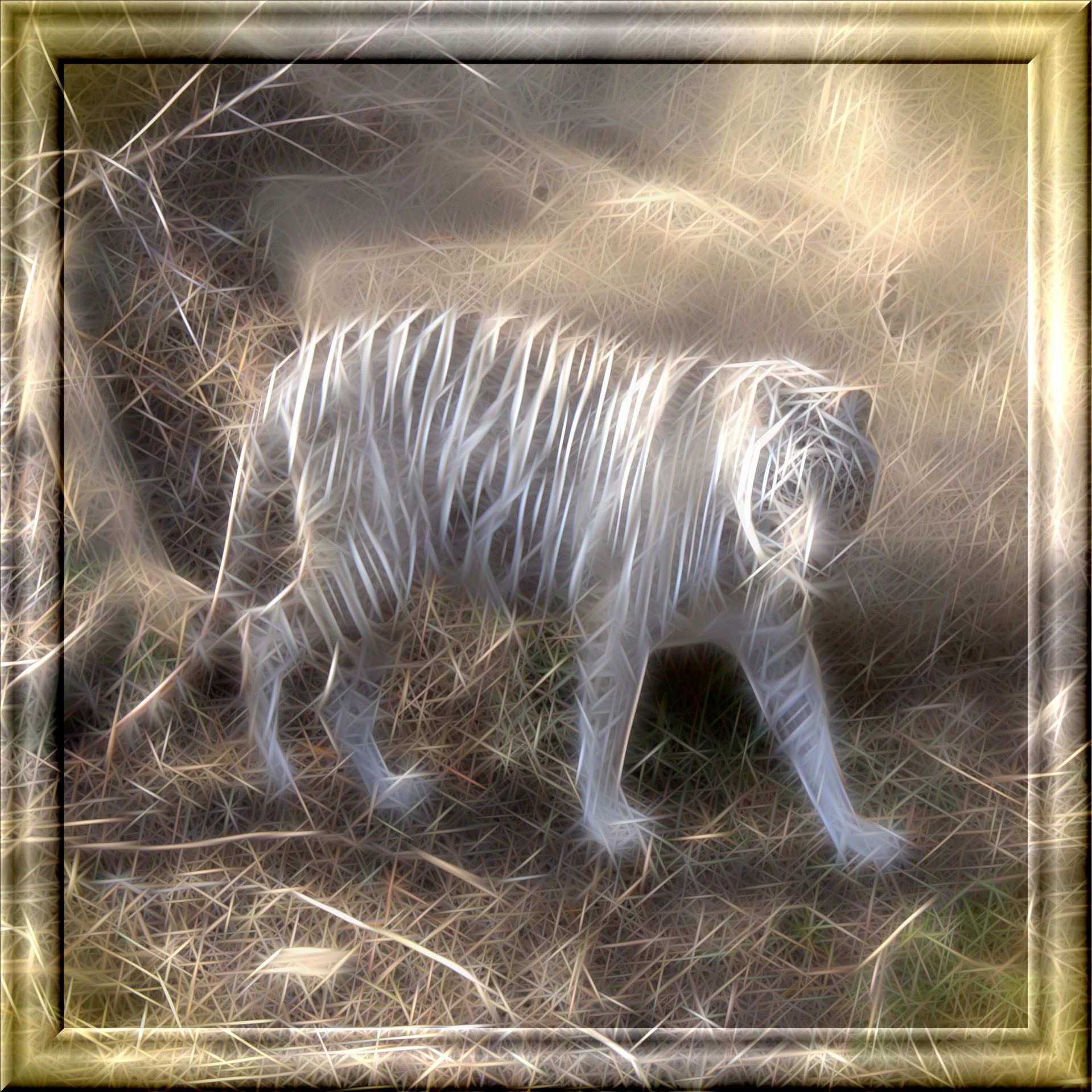 Balta,  Tigras,  Gyvūnas,  Pavojingas,  Siberianas,  Katė,  Rodilius,  Filtras,  Prijungti,  3D