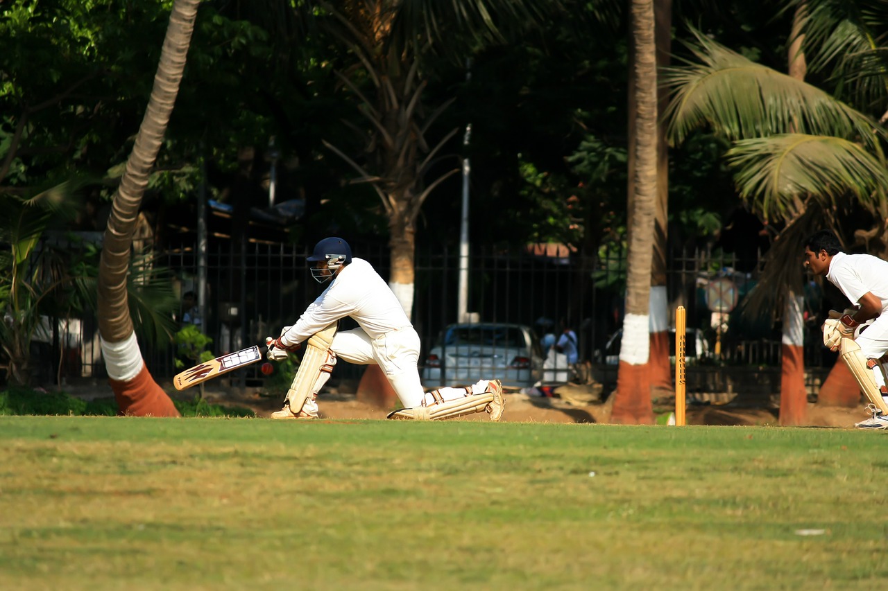 Wicketkeeper, Kriketas, Batsman, Kamuolio Žaidimas, Indija, Varzybos, Žaidėjas, Laukas, Rungtynės, Cricketer