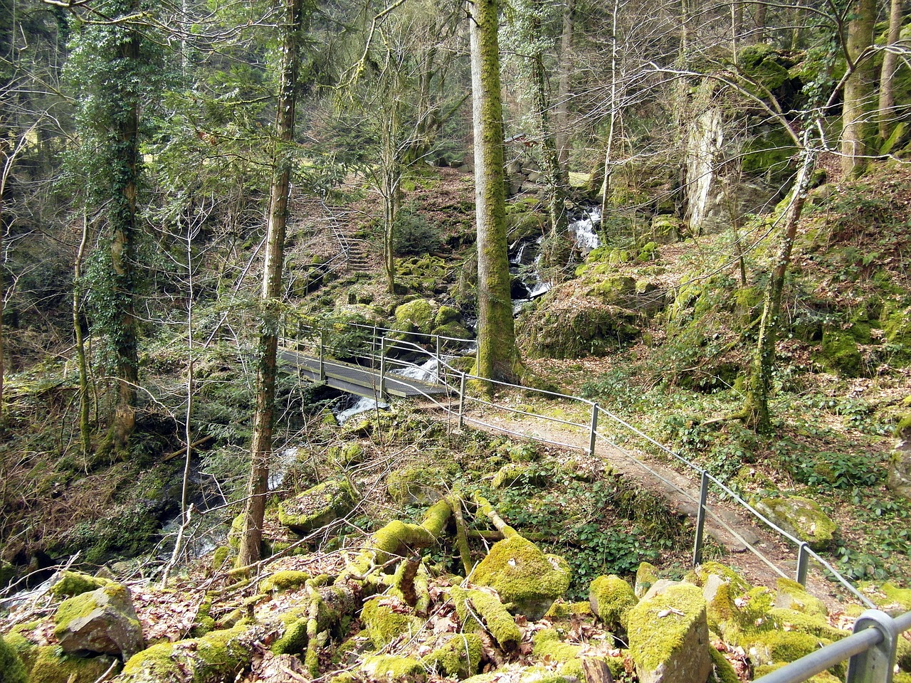 Wieladingen, Murg Slėnis, Juodasis Miškas, Aukštasis Reinas, Žygiai, Takas, Kovas, Hotzenwald, Kelias, Nemokamos Nuotraukos