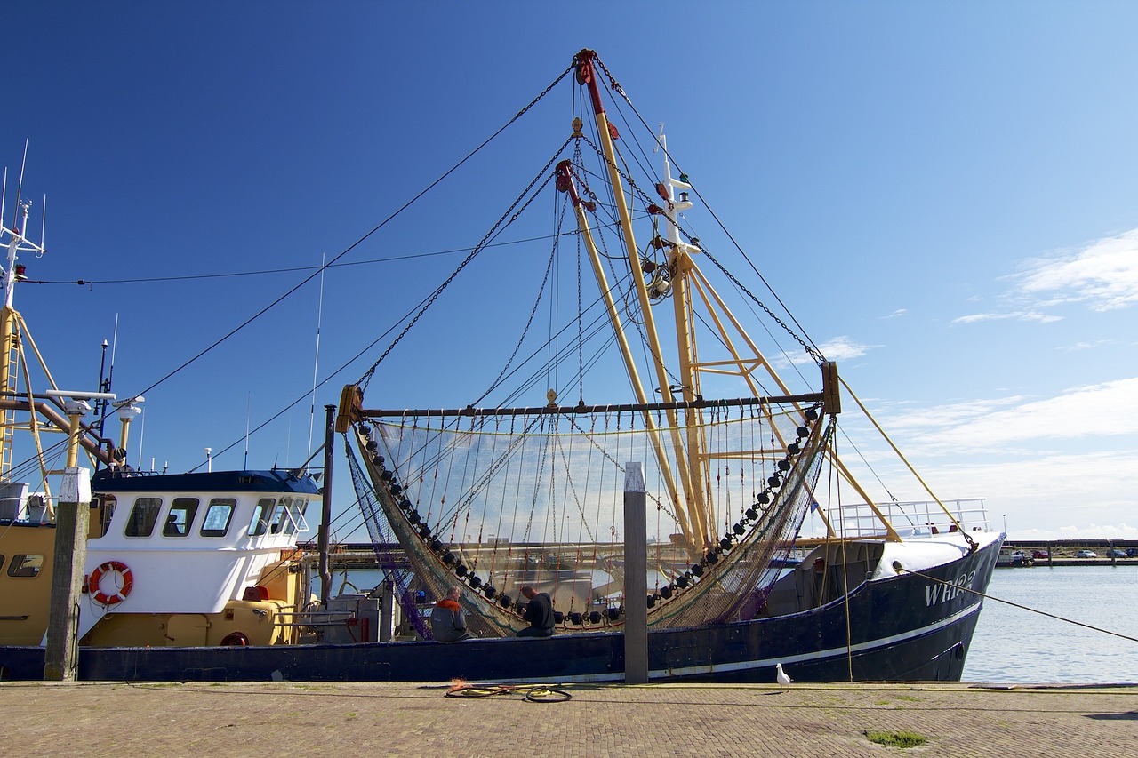 Wieringen, Noord-Holland, Nyderlandai, Žuvininkystė, Nemokamos Nuotraukos,  Nemokama Licenzija