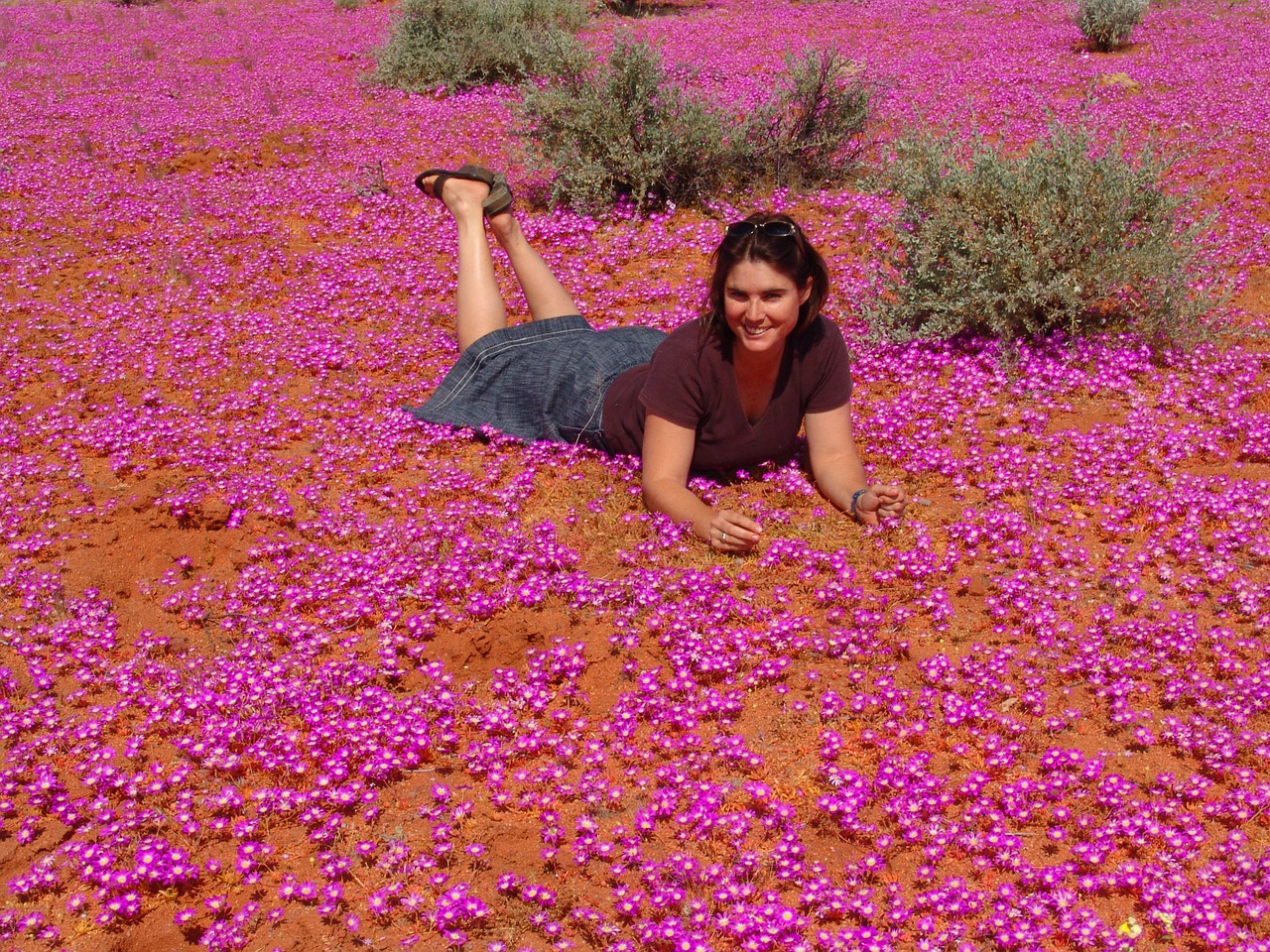 Laukinės Vasaros Spalvos, Moteris, Outback, Australia, Nemokamos Nuotraukos,  Nemokama Licenzija