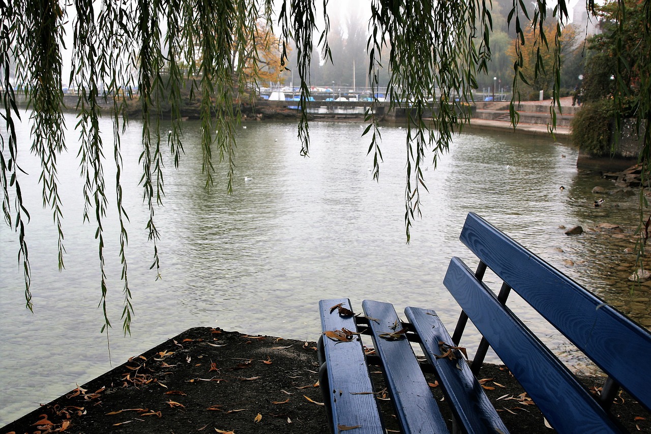 Gluosnis, Stendas, Ruduo, Migla, Ežeras, Bodensee, Parkas, Rudenį Vaikščioti, Tyla, Šventė