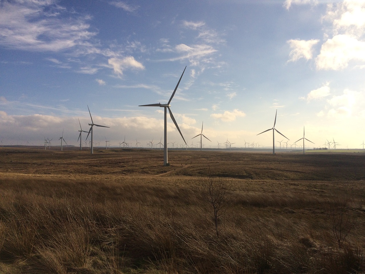 Vėjo Jėgainių Parkas,  Baltieji,  Atsinaujinanti Energija,  Atsinaujinanti Energija,  Energija,  Škotija, Nemokamos Nuotraukos,  Nemokama Licenzija