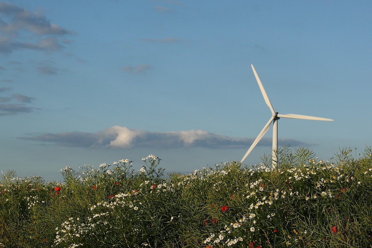 Vėjo Turbina, Kraštovaizdis, Vasara, Natūralus, Denmark, Nemokamos Nuotraukos,  Nemokama Licenzija