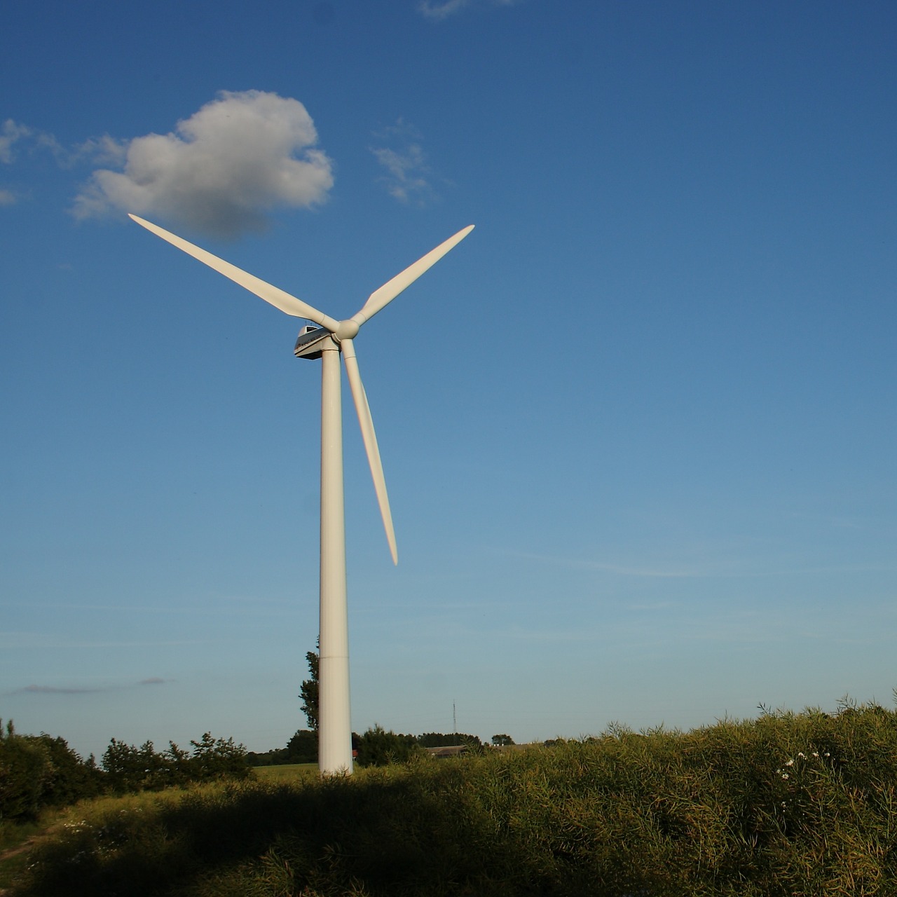 Vėjo Turbina, Kraštovaizdis, Vasara, Natūralus, Denmark, Nemokamos Nuotraukos,  Nemokama Licenzija