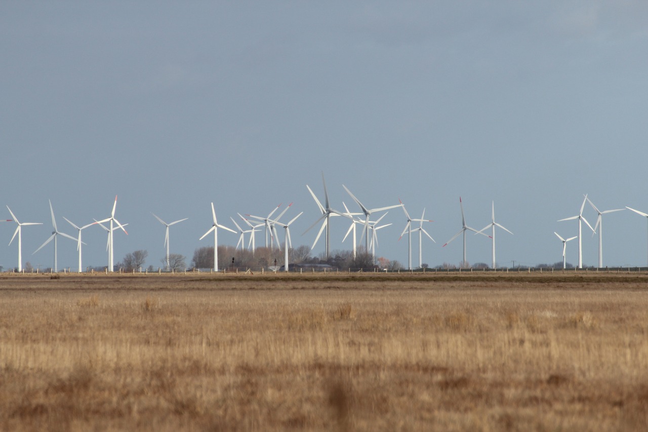 Vėjo Turbinos, Vėjo Energija, Vėjo Energija, Dithmarschen, Vėjo Parkas, Meldorfo Įlanka, Nemokamos Nuotraukos,  Nemokama Licenzija