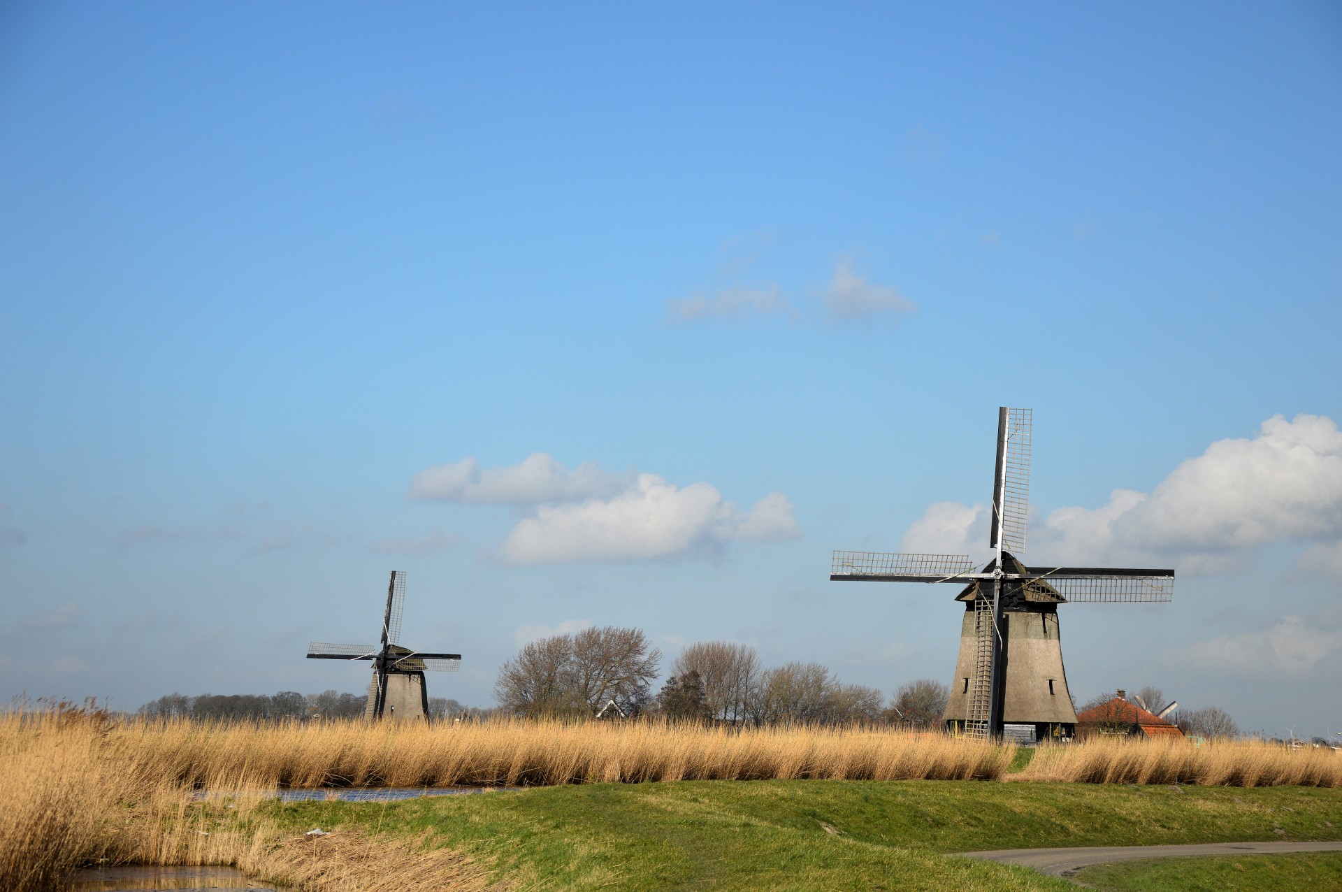 Vėjo Malūnas,  Istorija,  Tradicija,  Holland,  Vėjo Malūnas, Nemokamos Nuotraukos,  Nemokama Licenzija