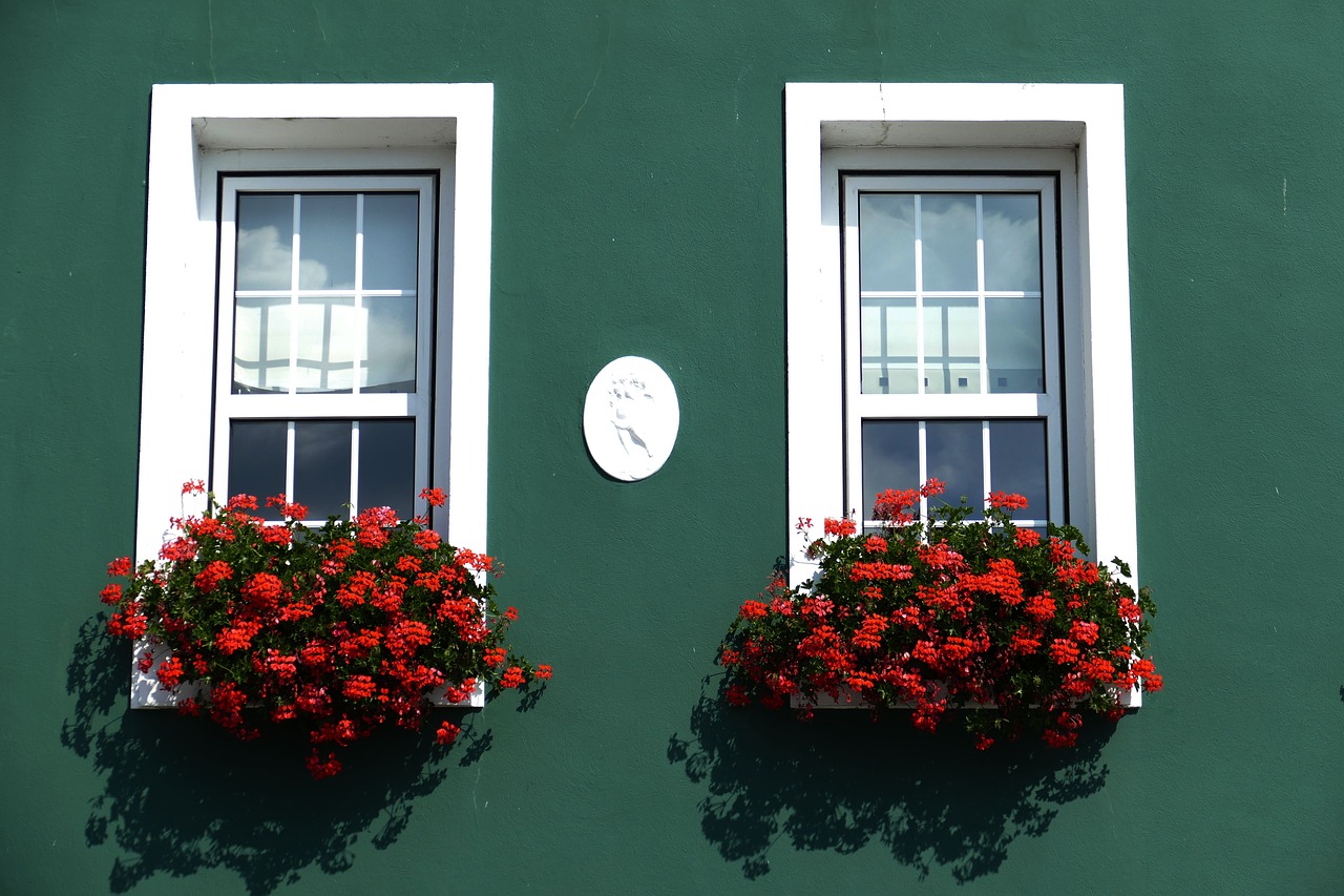 Langas, Fasadas, Gėlių Dėžė, Palengvėjimas, Geranium, Džersis, Nemokamos Nuotraukos,  Nemokama Licenzija