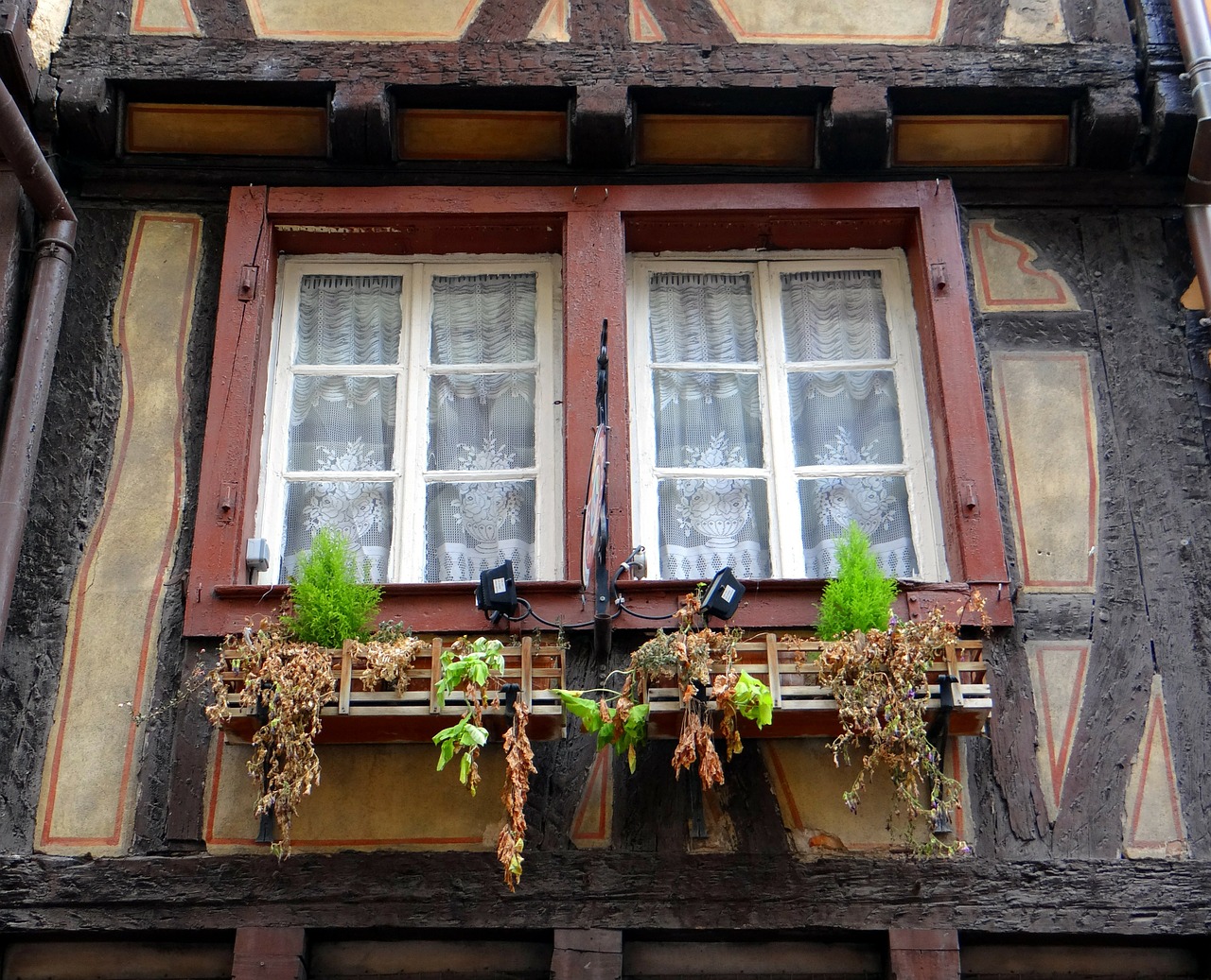 Langas, Santūra, Sergantis, Gėlės, Senamiestis, Senas, Namai, Fachwerkhaus, Alsace, Colmar
