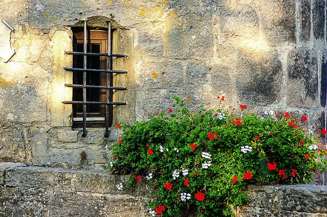 Langas, Grotelės, Siena, Ištemptas, Gėlės, Hauswand, Nemokamos Nuotraukos,  Nemokama Licenzija