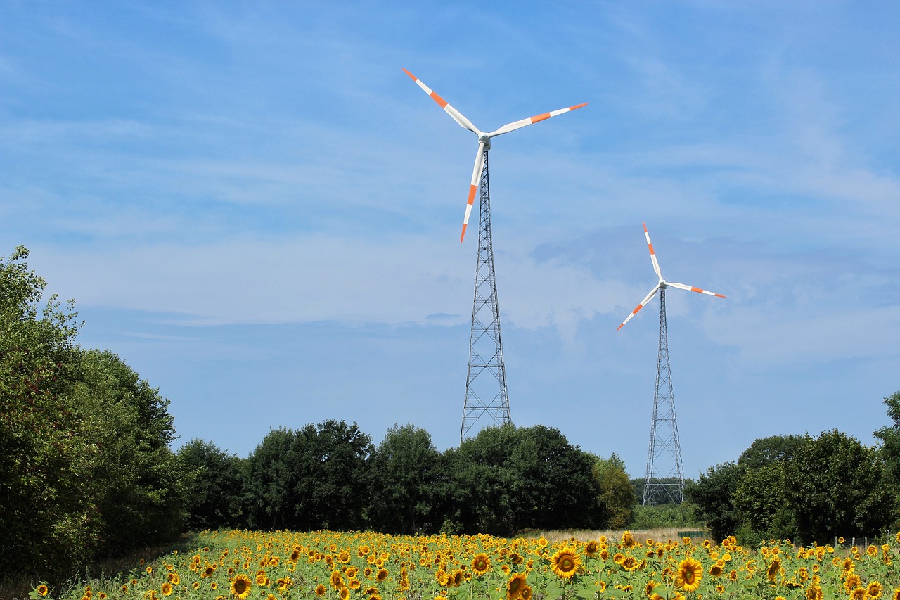 Windräder,  Energijos,  Alternatyvi Energija,  Saulėgrąžų,  Aplinkos Apsauga,  Klimato Kaita,  Dabartinis,  Atsinaujinanti Energija,  Saulėgrąžų Laukas,  Vėjo