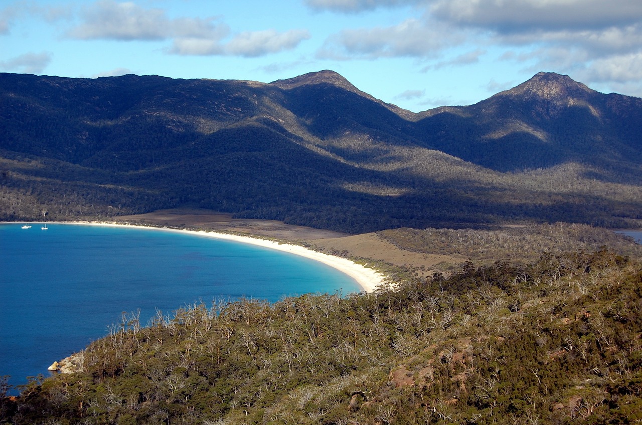 Vyno Lazdele,  Tasmanija,  Australia,  Papludimys,  Tuščia,  Kalnai, Nemokamos Nuotraukos,  Nemokama Licenzija