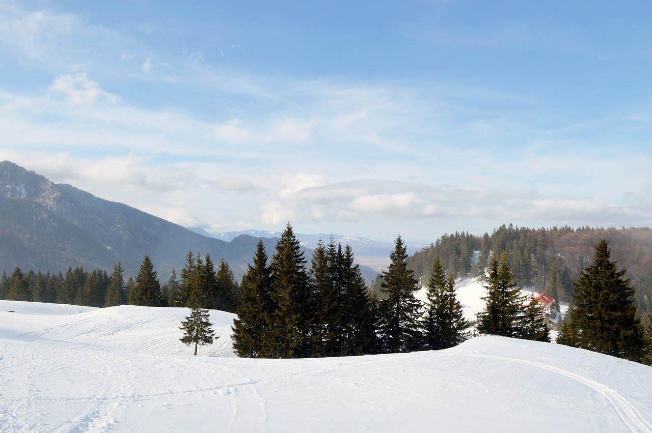 Žiema, Scena, Kalnas, Stebuklų Kraštas, Miškas, Šaltas, Lauke, Saulėlydis, Sniegas, Šventė