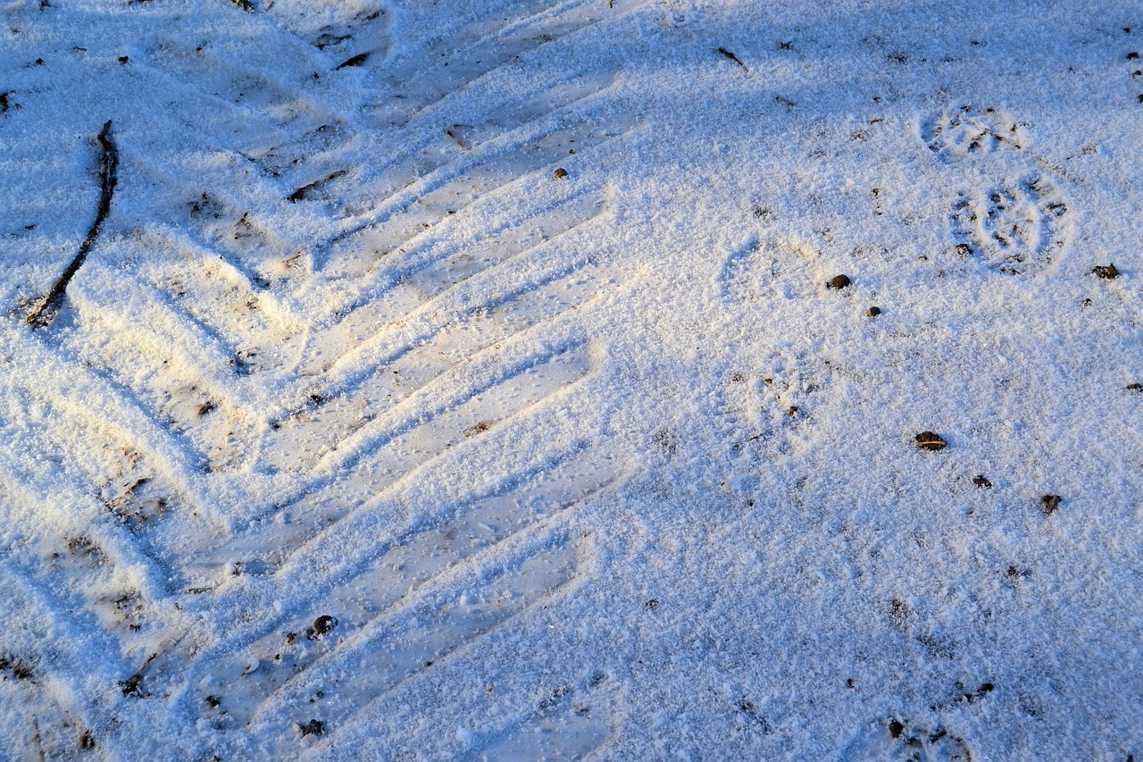 Žiema, Sniegas, Atsekti, Žiemą, Šaltas, Balta, Nemokamos Nuotraukos,  Nemokama Licenzija