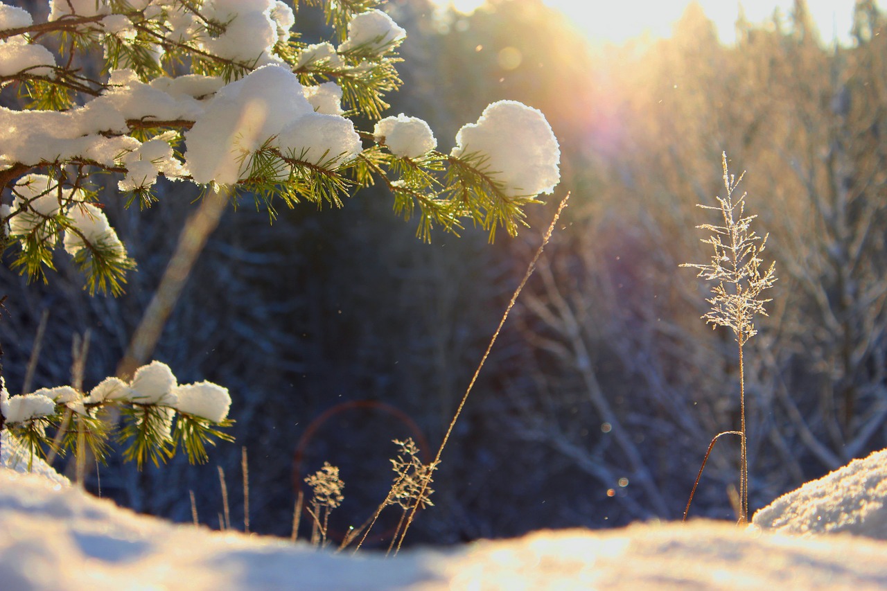 Žiema, Saulė, Gamta, Suomių, Šaltis, Dangus, Sniegas, Kraštovaizdis, Reljefas, Šeši