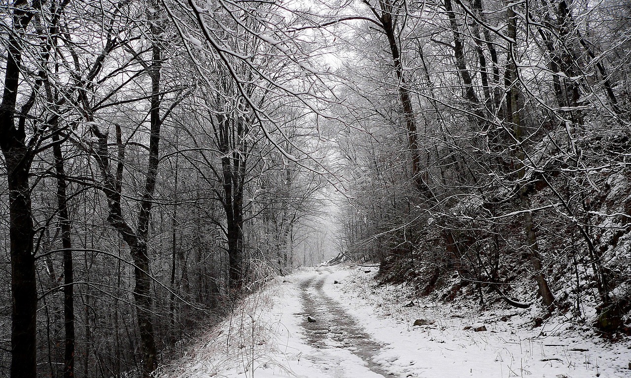 Žiema, Sniegas, Šaltas, Sezonas, Balta, Kaimas, Šalis, Kalnas, Kelias, Lauke