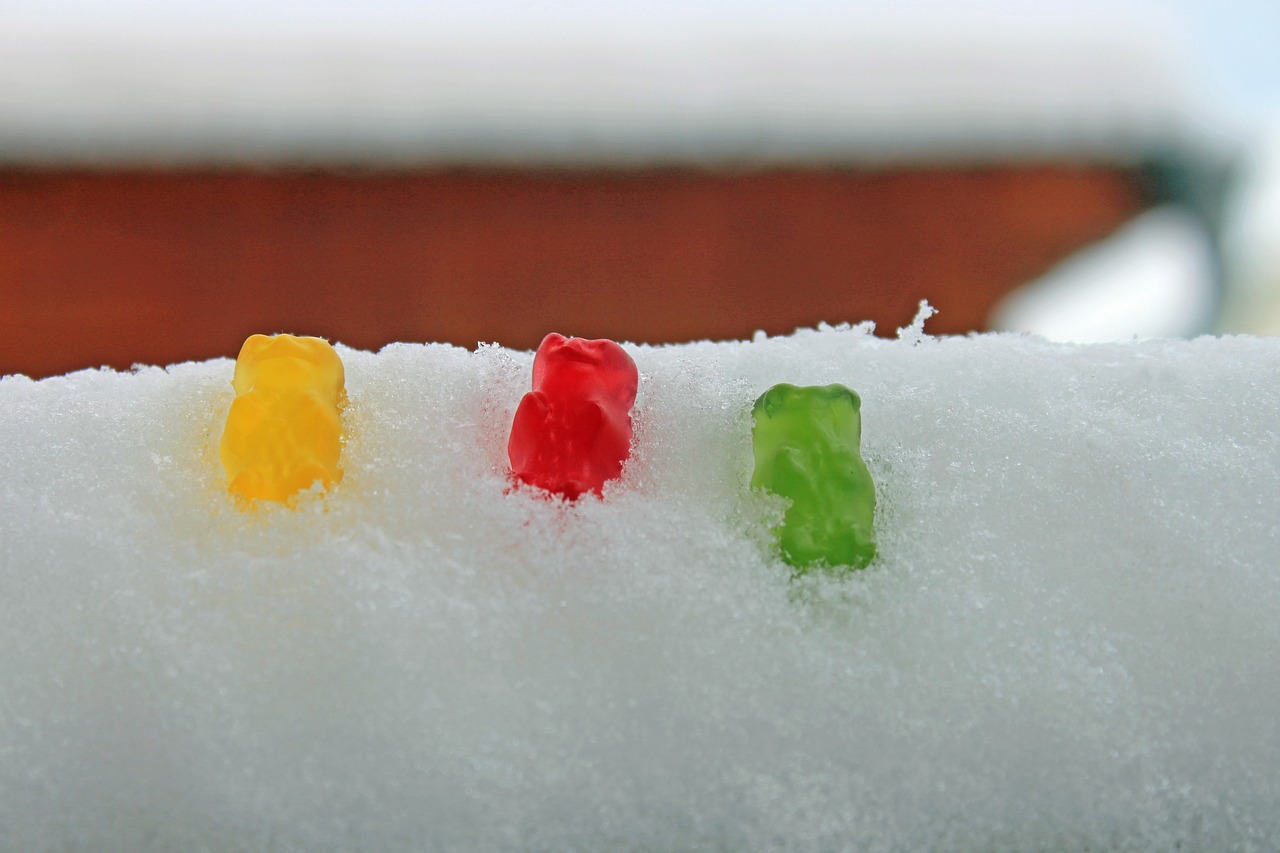 Žiema, Sniegas, Žiemą, Šaltas, Balta, Snieguotas, Žiemos Svajonė, Krūmai, Gummibärchen, Nemokamos Nuotraukos