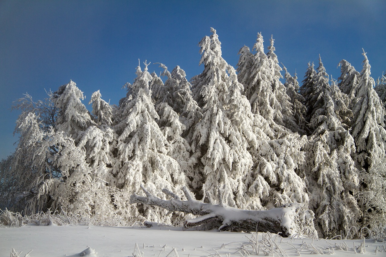 Žiema, Sniegas, Žiemą, Hochrhoen, Wasserkuppe, Rhön Žiema, Snieguotas, Nemokamos Nuotraukos,  Nemokama Licenzija