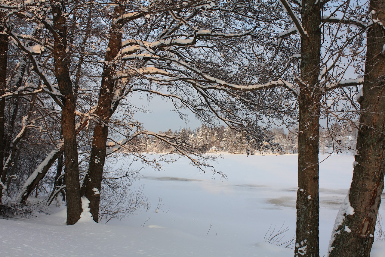 Žiema, Finland, Sniegas, Ledas, Nemokamos Nuotraukos,  Nemokama Licenzija