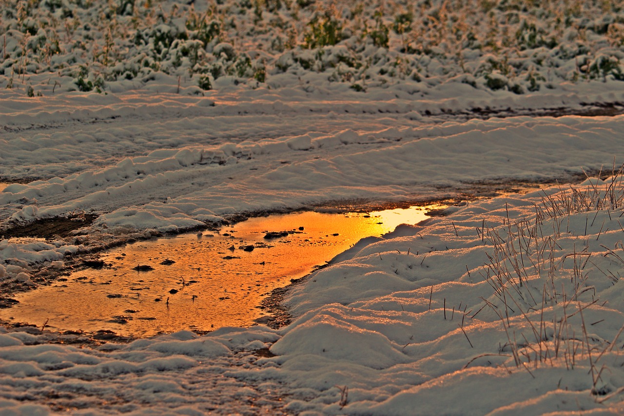 Žiema, Sniegas, Afterglow, Žiemą, Ledas, Peizažas, Sušaldyta, Saulės Šviesa, Auksinis, Nemokamos Nuotraukos