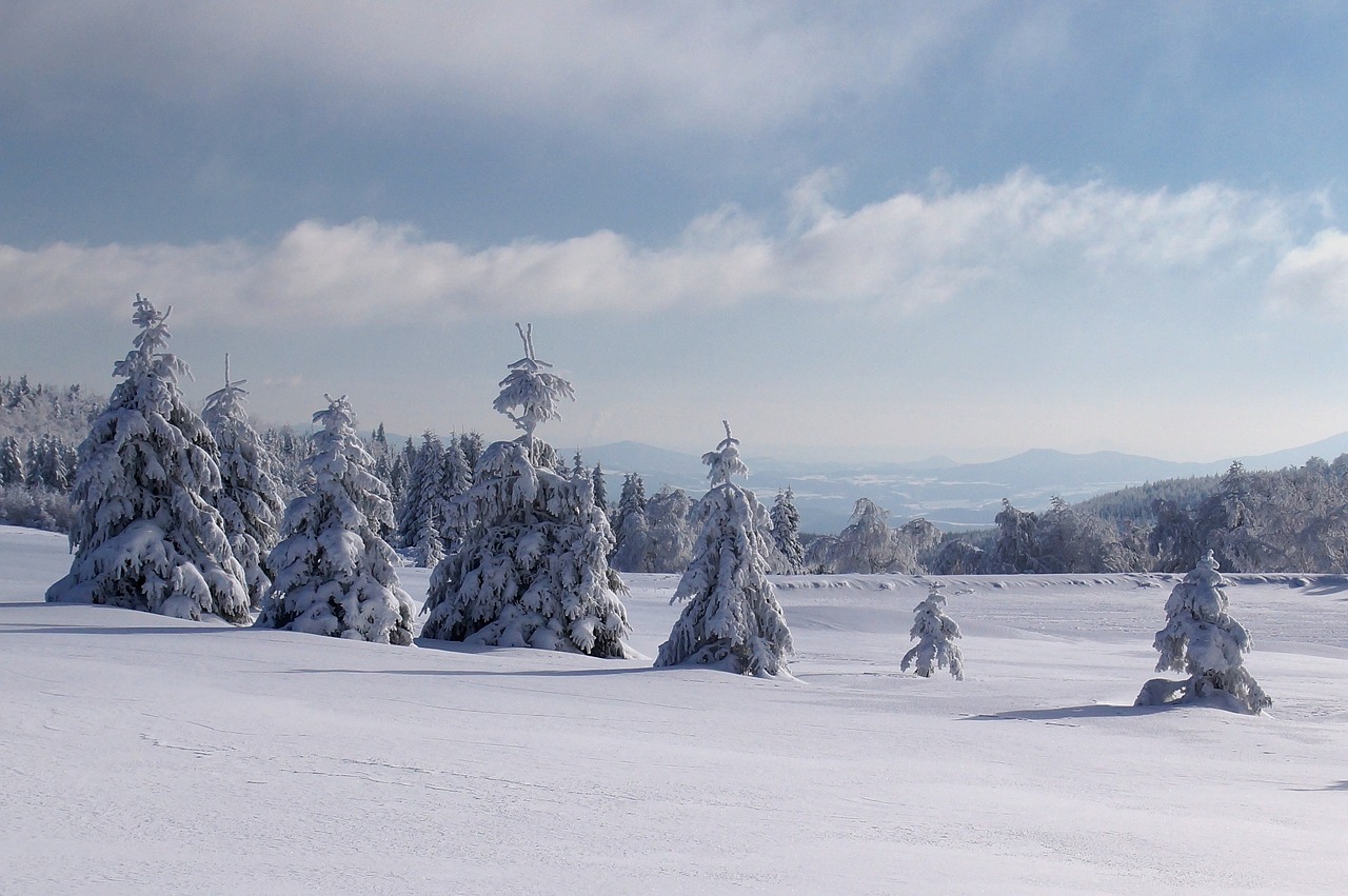 Žiema, Sniegas, Panorama, Miškas, Medžiai, Šaltis, Kalnai, Gamta, Dangus, Balta