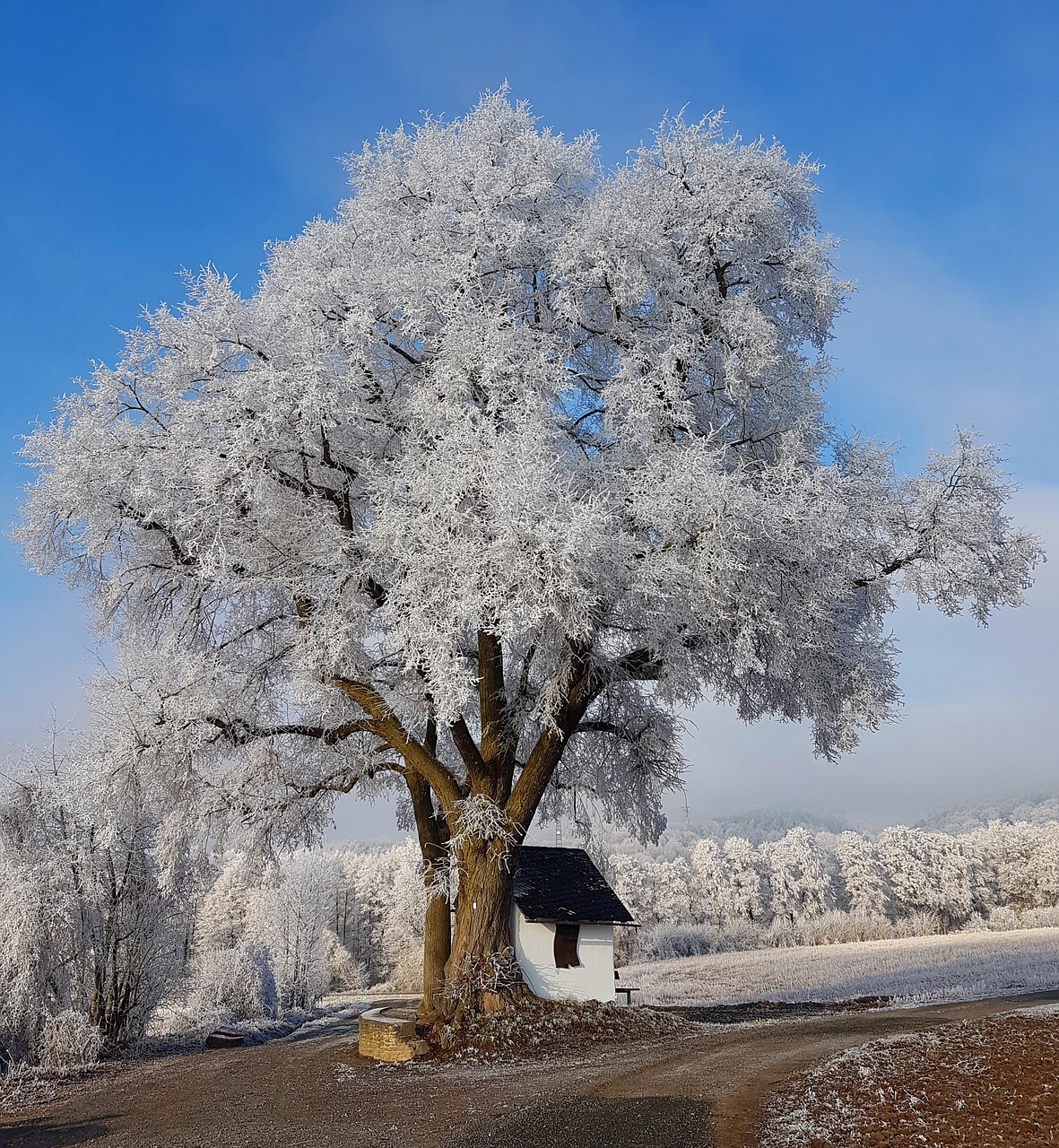 Žiema, Sniegas, Žiemą, Šaltas, Balta, Gamta, Žiemos Svajonė, Romantiškas, Kaimas, Svajingas