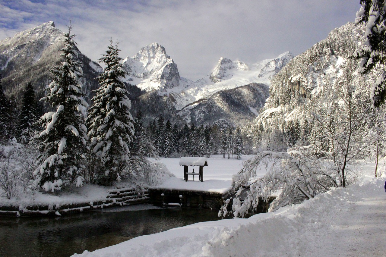 Žiema, Sniegas, Balta, Žiemą, Šaltas, Medis, Gamta, Žiemos Svajonė, Kraštovaizdis, Austria