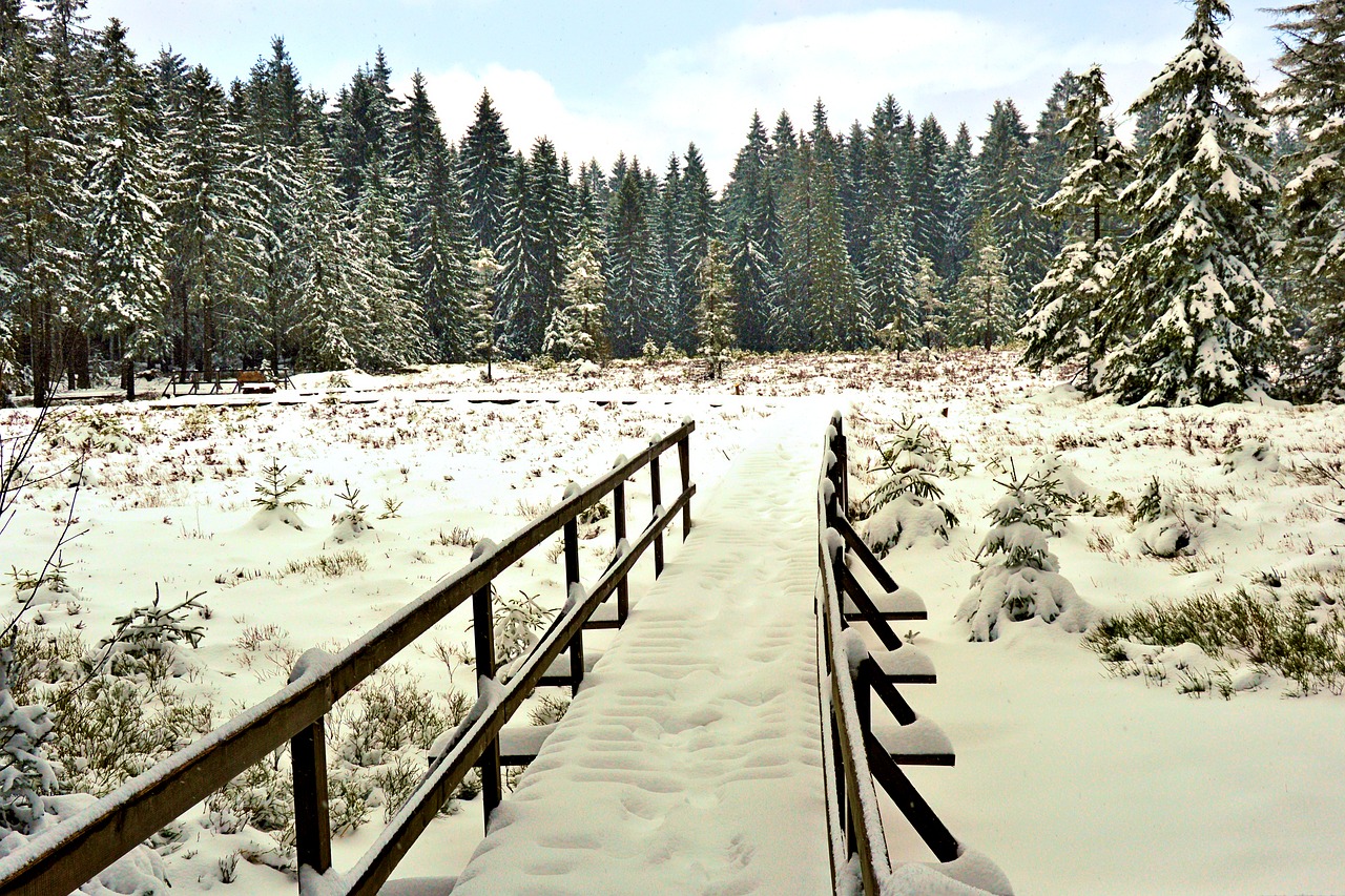 Žiema, Tiltas, Turėklai, Snieguotas, Sniegas, Medžiai, Miškas, Oberhof, Turingijos Federalinė Žemė, Žygiai