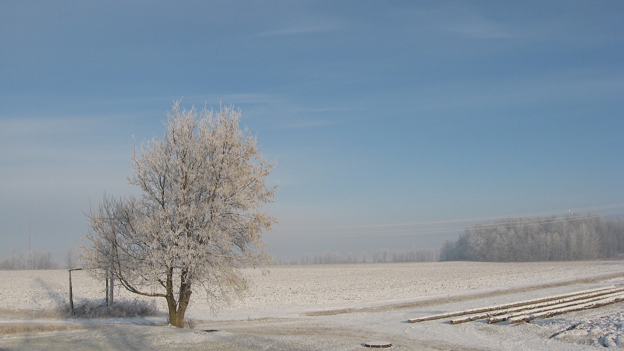 Žiema, Sniegas, Québec, Gamta, Medis, Nemokamos Nuotraukos,  Nemokama Licenzija