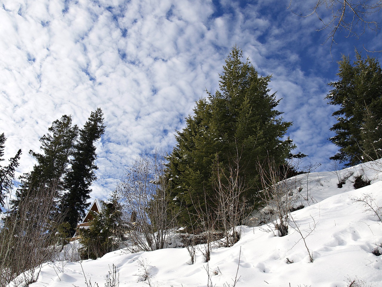 Žiema, Sniegas, Sezonas, Šaltas, Debesuota, Dangus, Medžiai, Dėl, Gamta, Balta