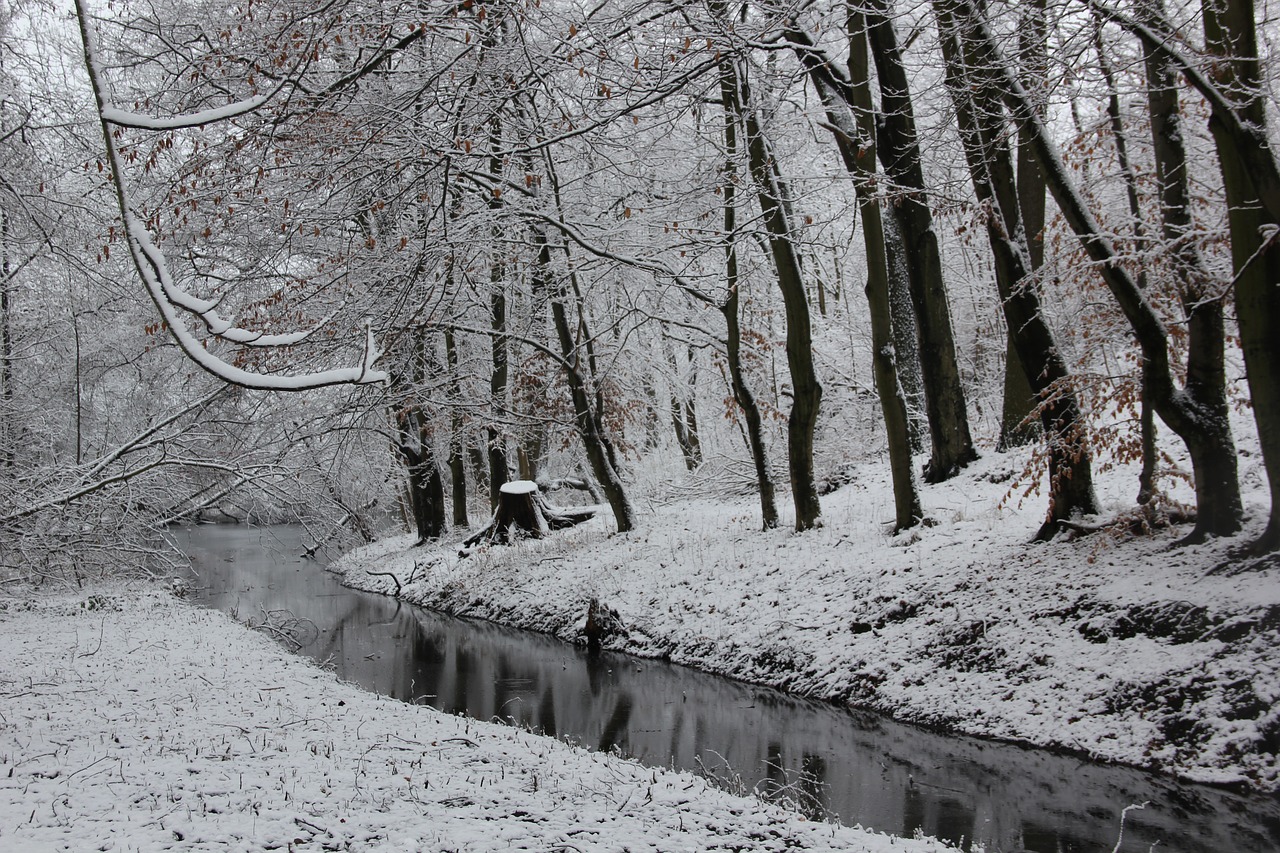 Žiema, Sniegas, Žiemą, Gamta, Šaltas, Upė, Šaltis, Ledinis, Žiemos Magija, Nemokamos Nuotraukos