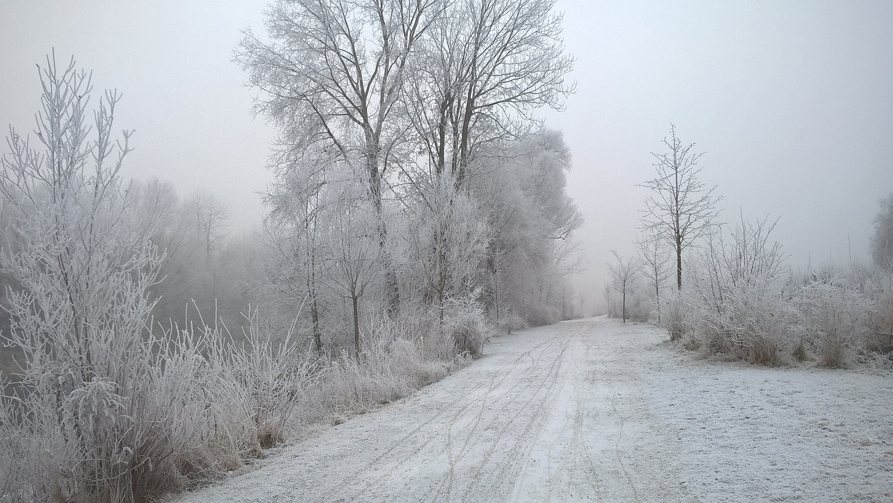 Žiema, Kraštovaizdis, Ledas, Snieguotas, Eiskristalio, Šaltis, Žiemą, Prinokę, Šaltas, Rūkas