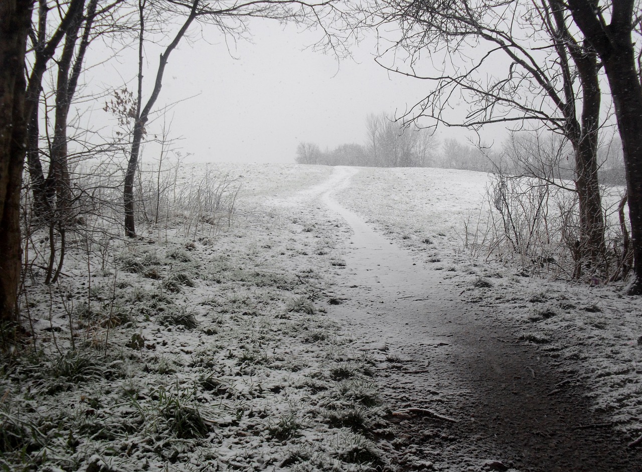 Žiema, Sniegas, Šaltas, Kalėdos, Sezonas, Gamta, Xmas, Balta, Kraštovaizdis, Sniegas