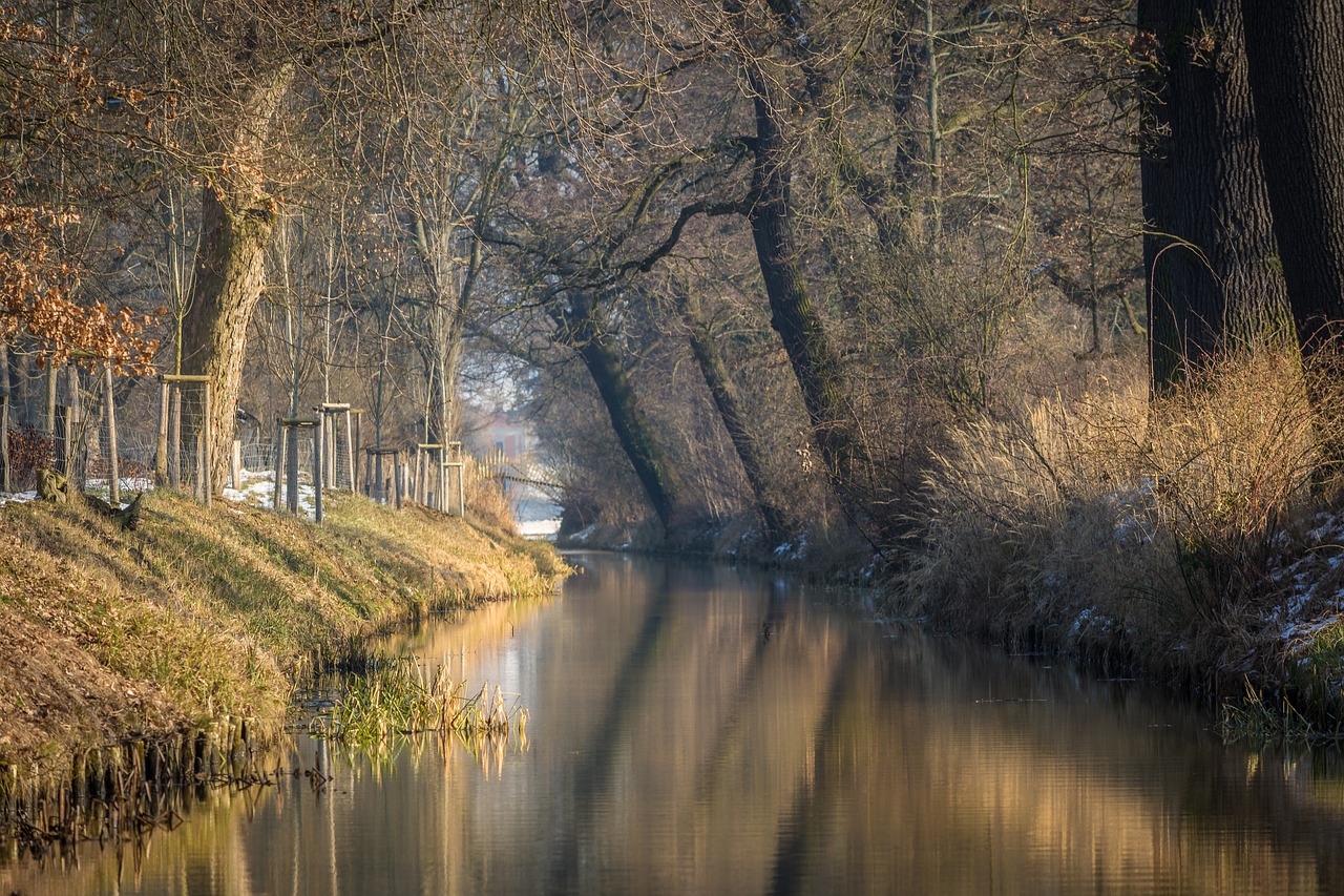 Žiema, Parkas, Park Wörlitz, Šaltas, Medžiai, Kraštovaizdis, Žiemą, Gamta, Ledinis, Romantiškas