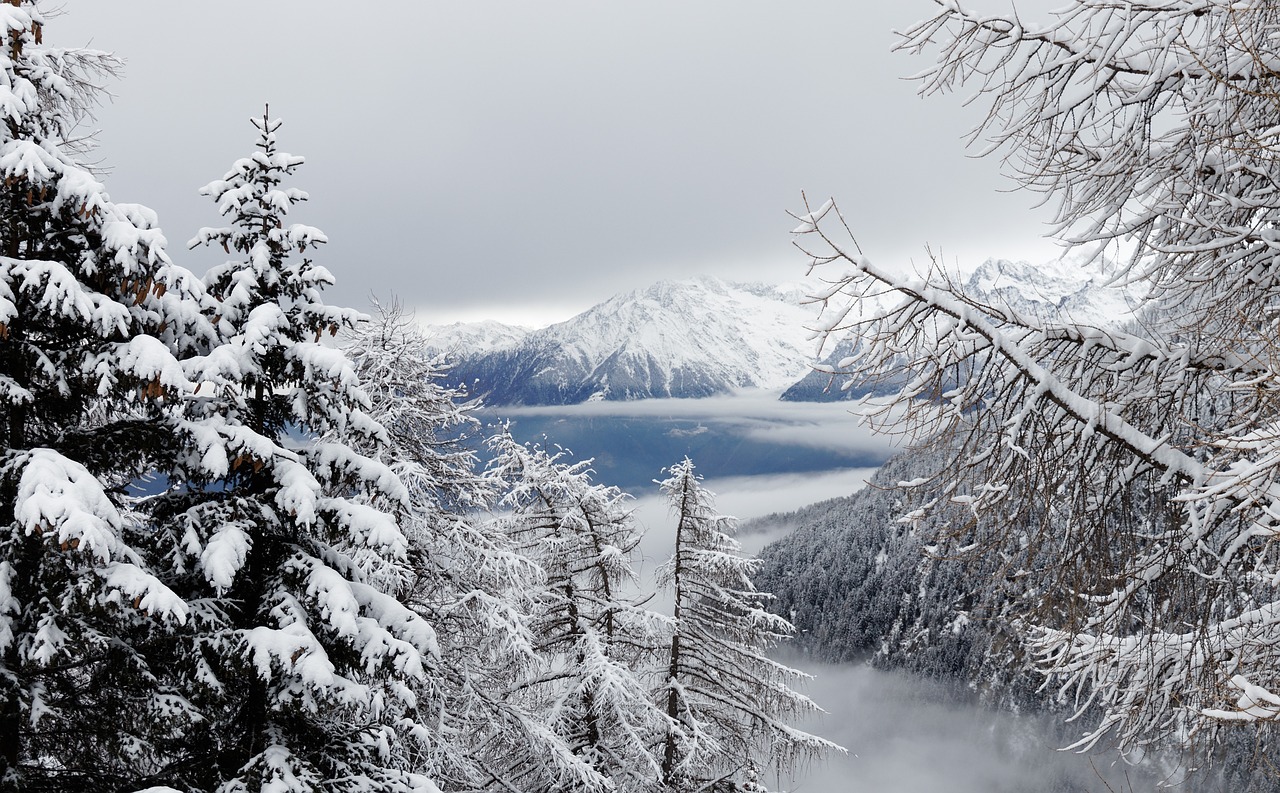Žiema, Sniegas, Kalėdos, Rūkas, Miškas, Kraštovaizdis, Kalnai, Meran 2000, South Tyrol, Italy