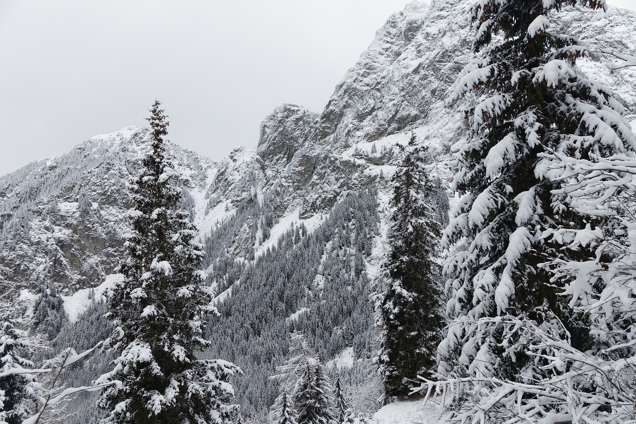 Žiema, Sniegas, Miškas, Kalnai, Šaltas, Pilka, South Tyrol, Italy, Nemokamos Nuotraukos,  Nemokama Licenzija